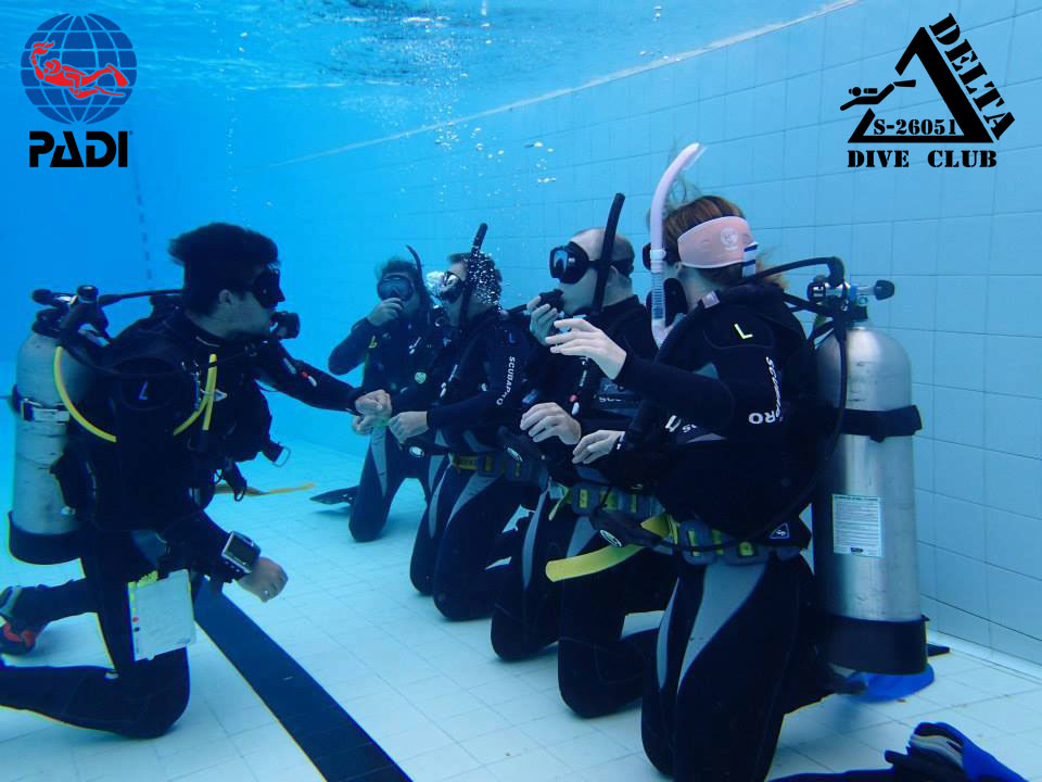 С чего начать обучение С чего начать обучение