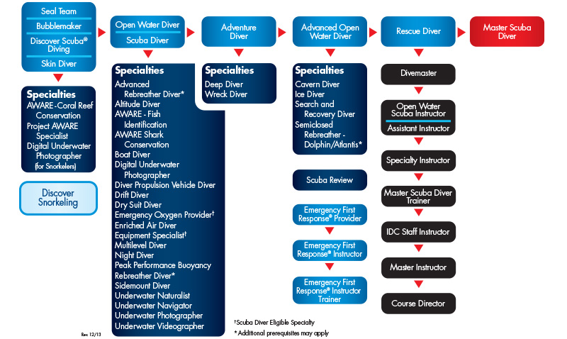 Курсы и специализации PADI Курсы и специализации PADI
