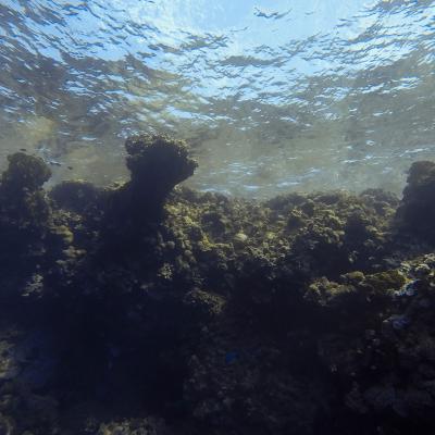 2016 10 Egypt Safari Bde 03