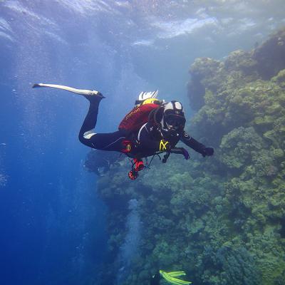 2016 10 Egypt Safari Bde 20