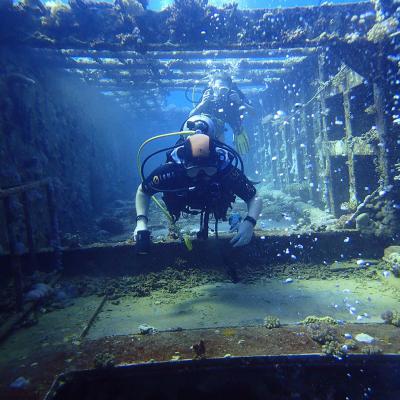 2016 10 Egypt Safari Bde 21