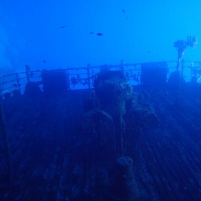 2016 10 Egypt Safari Bde 22