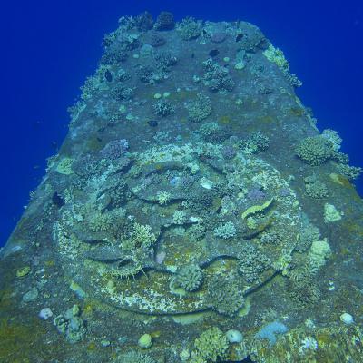 2016 10 Egypt Safari Bde 23