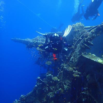 2016 10 Egypt Safari Bde 24