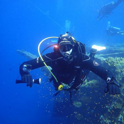 2016 10 Egypt Safari Bde 25