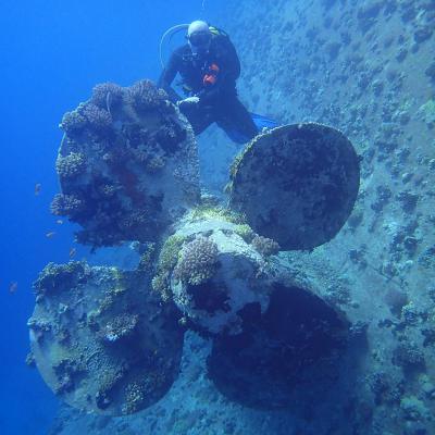 2016 10 Egypt Safari Bde 27