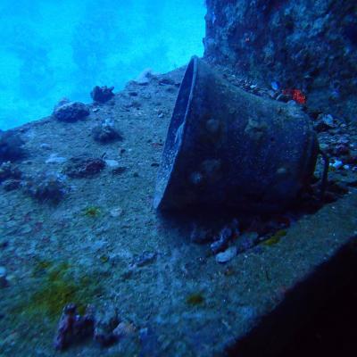 2016 10 Egypt Safari Bde 31