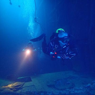 2016 10 Egypt Safari Bde 32