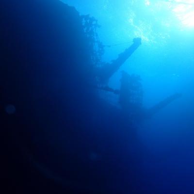 2016 10 Egypt Safari Bde 33