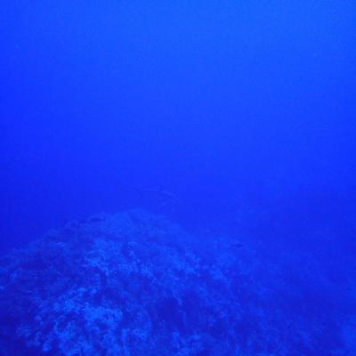 2016 10 Egypt Safari Bde 37