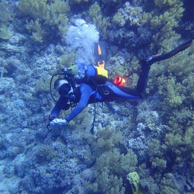 2016 10 Egypt Safari Bde 38