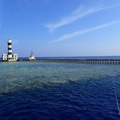 2016 10 Egypt Safari Bde 42