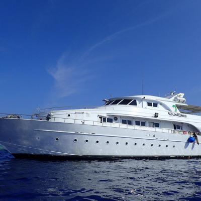 2016 10 Egypt Safari Bde 43