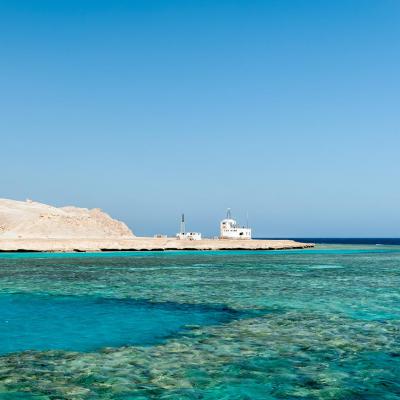 2016 10 Egypt Safari Bde 46