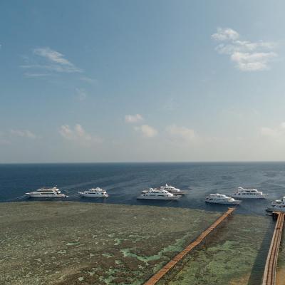 2016 10 Egypt Safari Bde 55