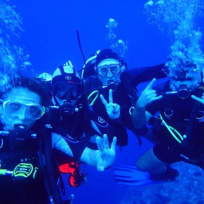 Октябрь 2016 - Египет Сафари