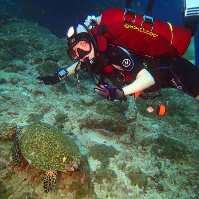 Январь 2017 - Мальдивы Сафари