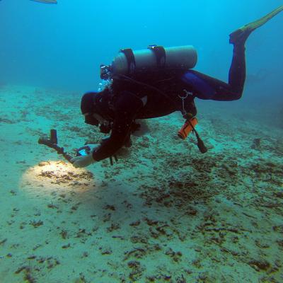 Сентябрь 2017 - Бали дейлик