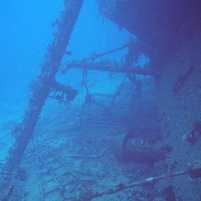 Египет сафари