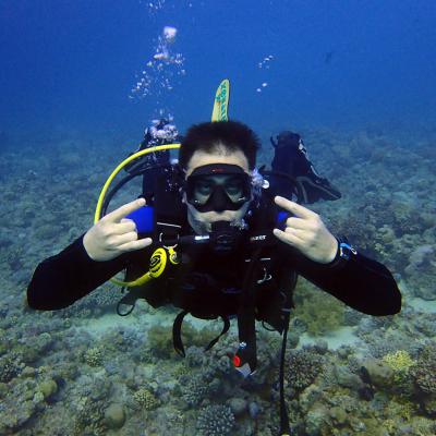 Ноябрь 2017 - Египет сафари